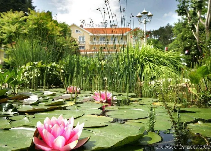 Medici & Restaurant Отель